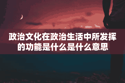 政治文化在政治生活中所发挥的功能是什么是什么意思